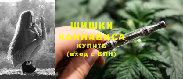 прущий лед Абаза