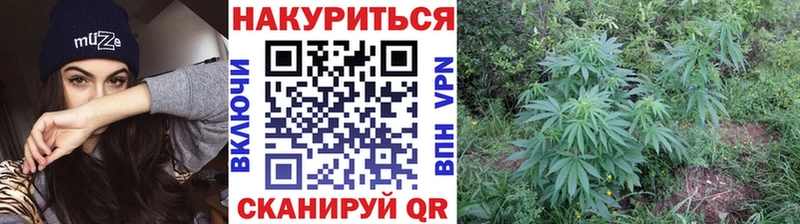ОМГ ОМГ как найти закладки Власиха МАРИХУАНА планчик